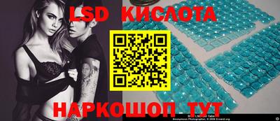 стаф Краснодар