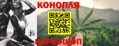 стаф Краснодар