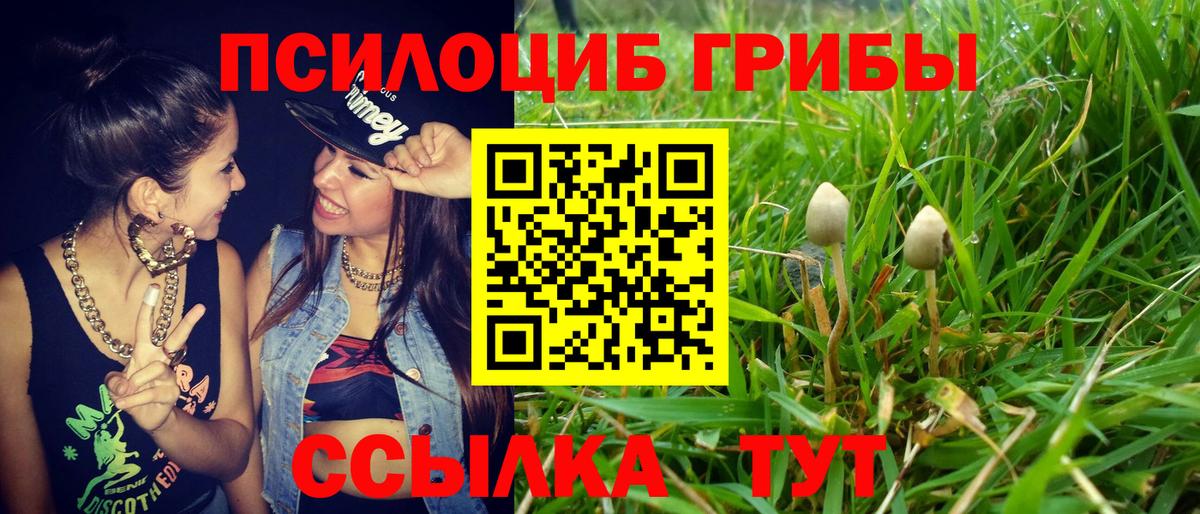 Кизляр  Галлюциногенные грибы GOLDEN TEACHER  Вход с VPN 